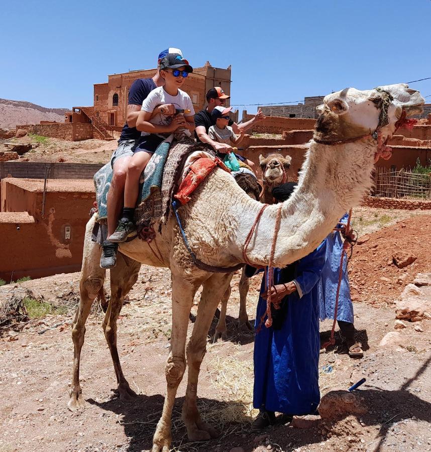 Kasbah La Cigogne Bed & Breakfast Аит Бен Хаду Екстериор снимка